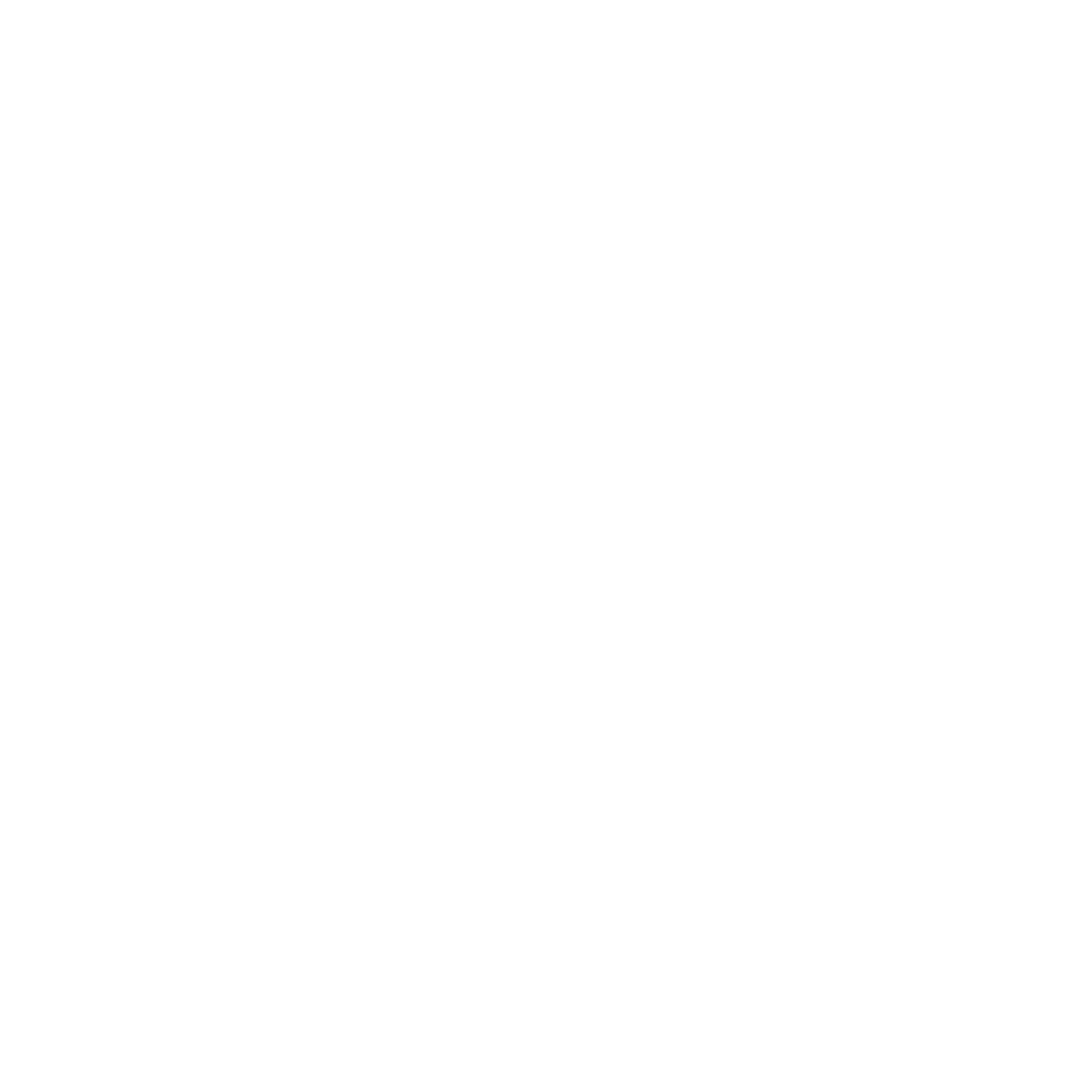 logo icon